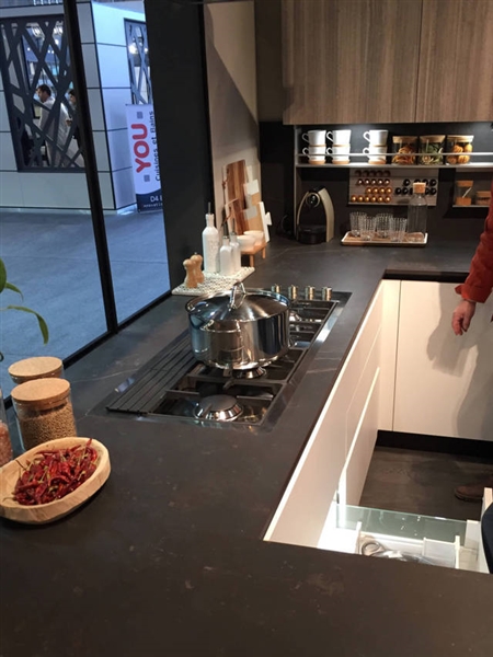 Foster auf der Sadecc 2017